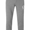 ARMANI EXCHANGE Hose 8NZPPA/ZJ1ZZ/3930 Sweatpants, Baumwolle, Grau